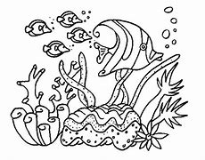 Image result for Sea Coral Coloring Pages