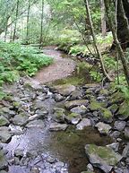 Image result for Water Stream Wallpaper