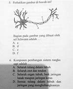 Image result for Gambar Yang Dibuat Ai