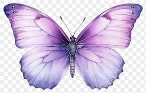 Image result for Butterfly Named Logo