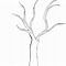 Image result for Coloring Picture of Leaf