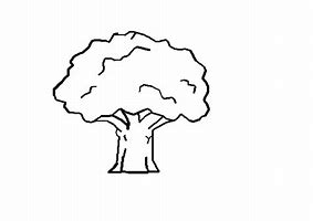 Image result for Tree Drawing Black and White