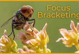 Image result for Bracketing