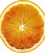 Image result for Orange Fruit Sketch