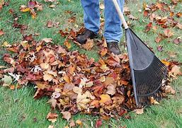 Image result for Raking Leaves 100 Years Ago