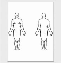 Image result for Freepik Human Body Outline