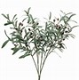 Image result for Curved Olive Branch Green Clip Art