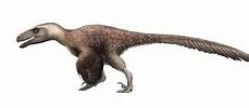 Image result for Yutyrannus Prehistoric Kingdom