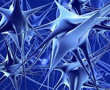 Image result for Model Generalization Neuronal Network