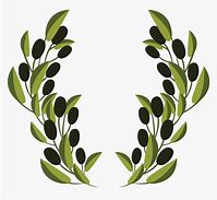 Image result for Olive Vine Leaves Clip Art