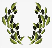 Image result for Olive Branch Clipart