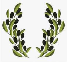 Image result for Oilve Branch Clip Art