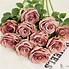 Image result for Dusty Rose Color Flowers