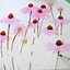 Image result for Cone Flowers Watercolors