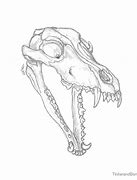 Image result for Wolf Skull Wallpaper