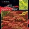 Image result for Acer Green Maple Tree