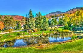 Image result for Fall Foliage Europe