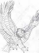 Image result for Realistic Eagle Coloring Pages