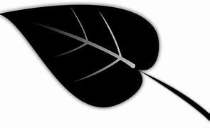 Image result for Leaf Colouring Sheet