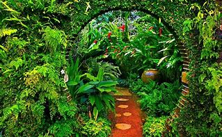 Image result for Jungle Plants Wallpaper