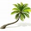 Image result for Palm Tree Vector Illustration