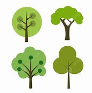 Image result for Round Tree Vector