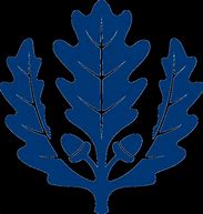 Image result for Oak Leaf Drawing Easy