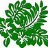 Image result for Plant No Background Clip Art