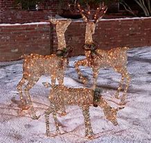 Image result for Best Outdoor Christmas Decorations Deer