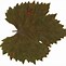 Image result for Grape Leaf Clip Art