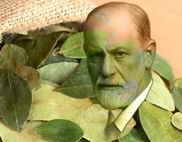 Image result for Sigmund Freud Meme