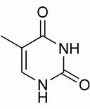 Image result for DNA Sugar Structure