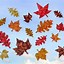 Image result for Pretty Leaf to Print