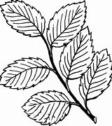 Image result for Leaf Coloring Sheets Printable