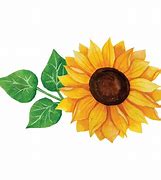 Image result for Sunflower Seeds Clip Art