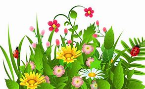 Image result for May Flowers Clip Art