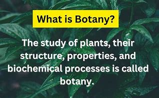 Image result for Branches of Botany