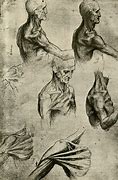 Image result for Leonardo Anatomy Drawings