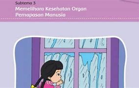 Image result for Organ Pernapasan Atas