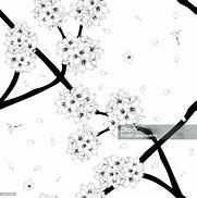 Image result for Japanese Cherry Blossom Background