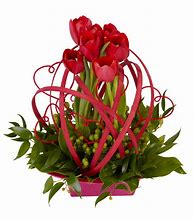 Image result for Beautiful Unusual Flowers