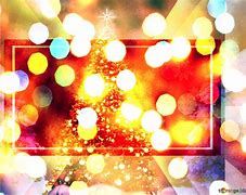 Image result for Real Christmas Tree Background