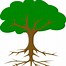 Image result for Clip Art of Roots