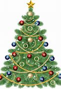 Image result for Real Christmas Tree PNG