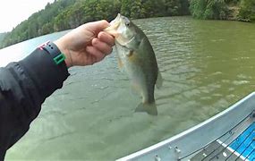 Image result for Loch Lomond Fishing