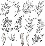 Image result for Line Drawing SVG Leaf