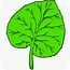 Image result for Draw Leaves On Tree