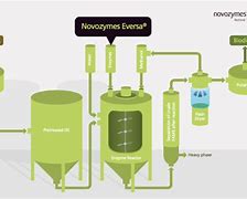 Image result for Biodiesel Esterification