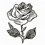 Image result for Black Roses Clip Art