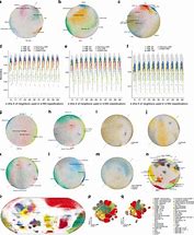 Image result for What Is Deep Generative Models